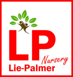 Welcome To Lie Palmer Nursery – The Best Nursery in Florida